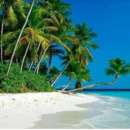 Airbnb At Sri Sayang Batu Ferringhi Beach